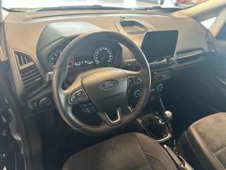 FORD EcoSport usata, con Cronologia tagliandi