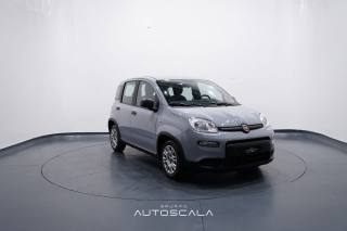 FIAT New Panda usata 7