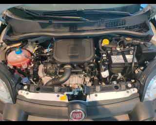FIAT New Panda usata 19