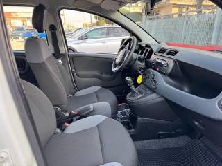 FIAT Panda usata, con Controllo trazione