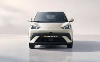 BYD Dolphin Surf usata, con Cruise Control