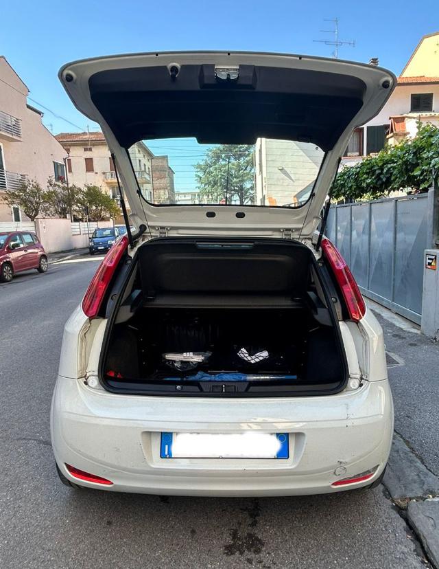 FIAT Punto usata 14