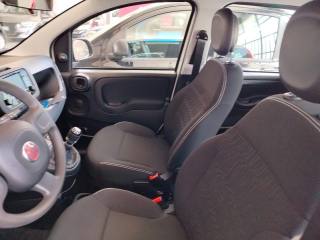FIAT Panda usata 14