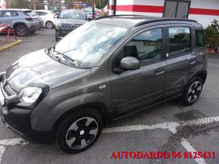 FIAT Panda usata, con Fendinebbia