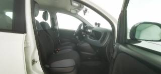 FIAT Panda usata 38