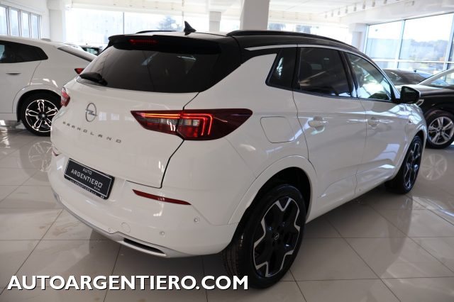 OPEL Grandland usata, con Sound system