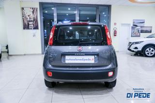 FIAT Panda usata, con Alzacristalli elettrici