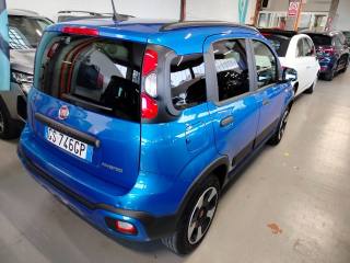 FIAT Panda Cross usata, con Controllo trazione