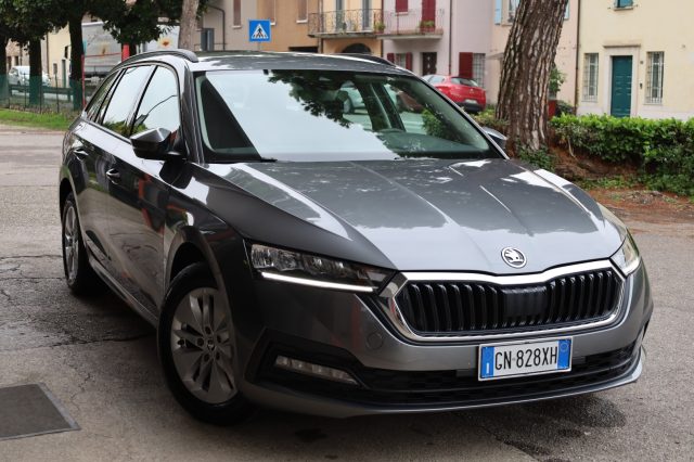 SKODA Octavia usata 155