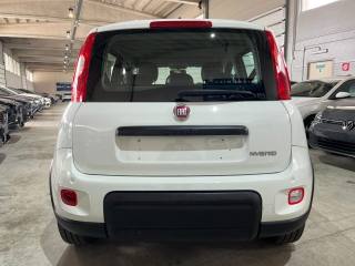 FIAT Panda usata, con Alzacristalli elettrici