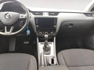 SKODA Octavia usata, con Servosterzo