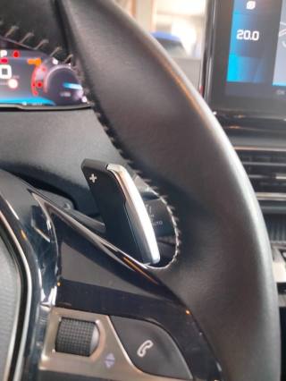 PEUGEOT 3008 usata 27