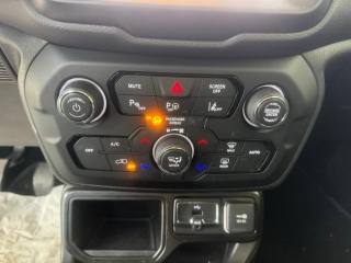 JEEP Renegade usata, con ESP