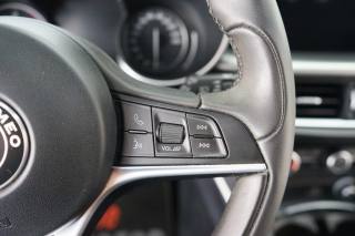 ALFA ROMEO Stelvio usata, con Volante riscaldabile
