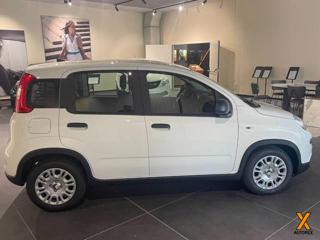 FIAT Panda usata, con Antifurto