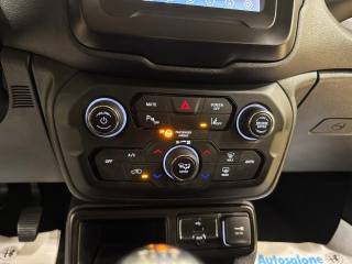 JEEP Renegade usata, con Luci diurne LED