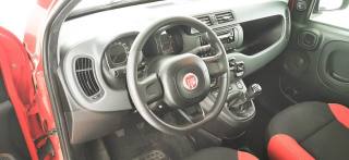 FIAT Panda usata 43