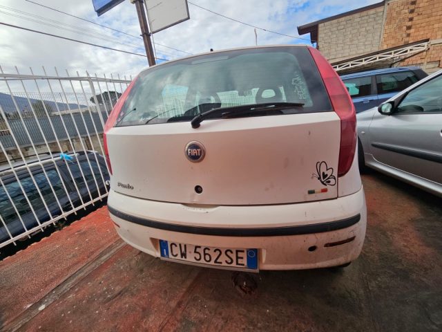 FIAT Punto usata 10