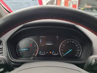 FORD EcoSport usata, con Bracciolo
