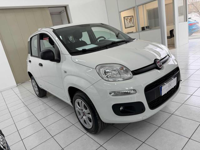 FIAT Panda usata, con Alzacristalli elettrici