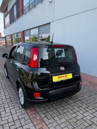 FIAT Panda usata, con Autoradio