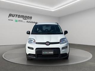 FIAT Panda usata, con Airbag