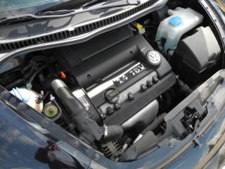 VOLKSWAGEN New Beetle usata 64