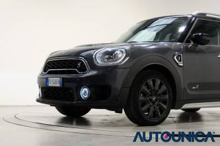 MINI Countryman usata, con Controllo automatico clima