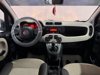 FIAT Panda usata 16
