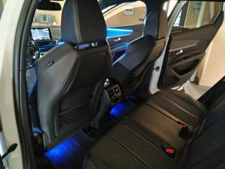 PEUGEOT 3008 usata, con Vetri oscurati