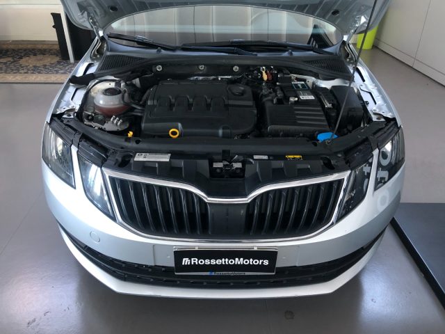 SKODA Octavia usata, con Controllo trazione