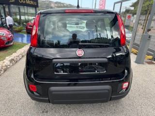 FIAT Panda usata, con Antifurto