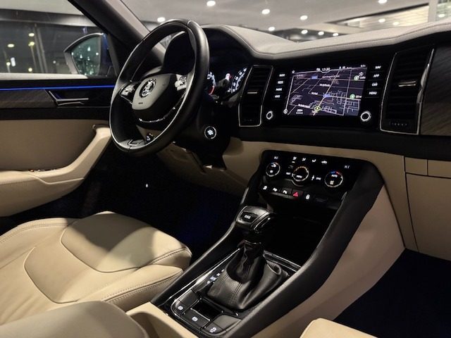 SKODA Kodiaq usata, con Cruise Control