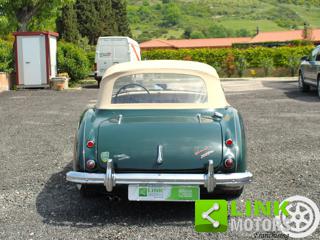 AUSTIN Healey usata 5