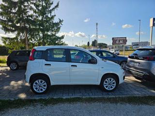 FIAT Panda usata, con Chiusura centralizzata
