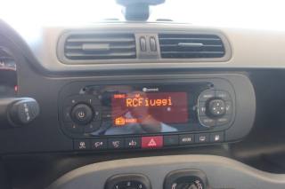 FIAT Panda usata, con Airbag testa