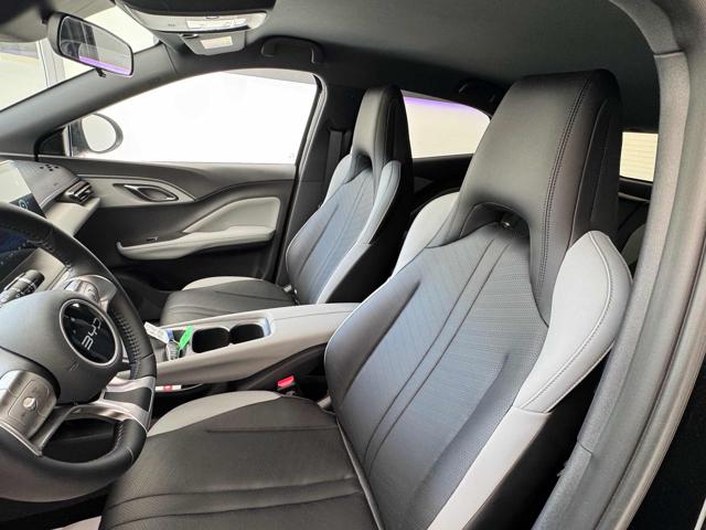 BYD Dolphin Surf usata, con Controllo trazione