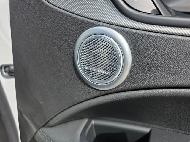 ALFA ROMEO Stelvio usata, con Sistema di navigazione