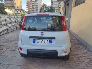 FIAT Panda usata, con Autoradio