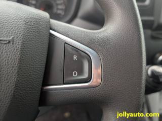 RENAULT Master usata 22