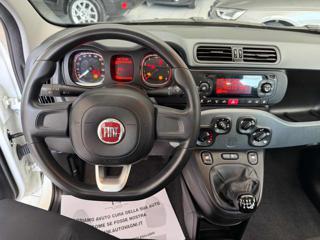 FIAT Panda usata, con Servosterzo