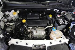 FIAT Doblo usata, con Bracciolo