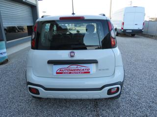 FIAT Panda usata, con Climatizzatore
