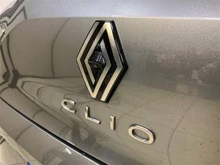 RENAULT Clio usata 25