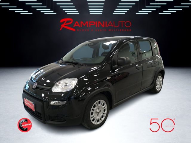 FIAT Panda usata 0
