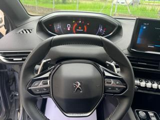 PEUGEOT 3008 usata, con Climatizzatore