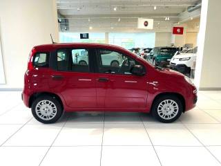 FIAT Panda usata, con Climatizzatore