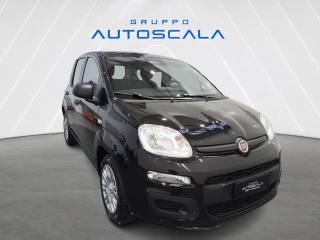 FIAT Pandina usata, con Autoradio