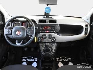 FIAT Panda usata 22