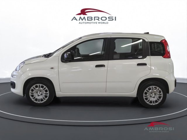 FIAT Panda usata 4